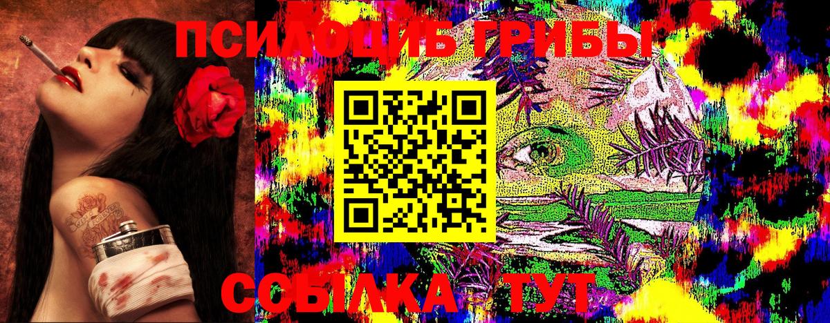 Псилоцибиновые грибы Psilocybe  Вход с VPN  Звенигород 