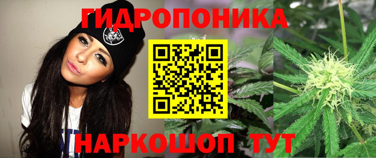 Шишки марихуана семена Звенигород